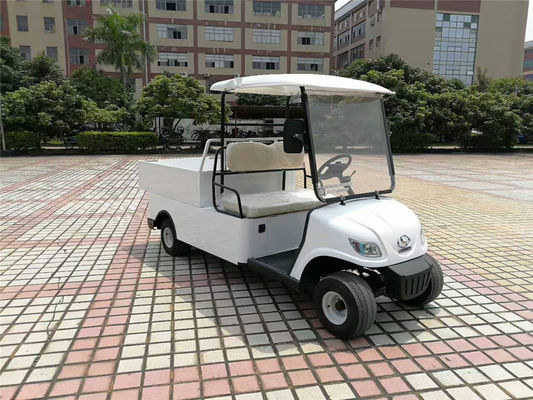 China Compact Electric Cargo Car , 2 Seater Electric Car With 2pcs Rear View Mirror supplier