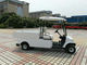 Compact Electric Cargo Car , 2 Seater Electric Car With 2pcs Rear View Mirror supplier