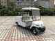 Compact Electric Cargo Car , 2 Seater Electric Car With 2pcs Rear View Mirror supplier