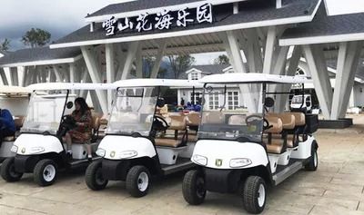Electric Golf Carts for Snow Mountain Flower Sea Paradise