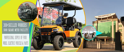 quality Electric Tourist Car factory