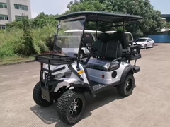 Capacious 4 Seats Green Electric Shuttle Car Resort Vehicles High Performance