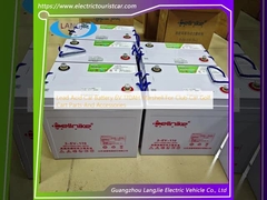 Lead Acid Car Battery 6V 170AH Marshell For Club Car Golf Cart Parts And Accessories