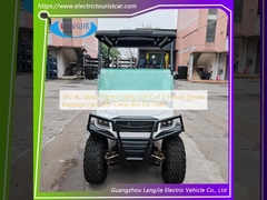 48V AC Motor Electric Utility Golf Cart 2 Person Electric Baggage Cart With Cargo Box For Hotel