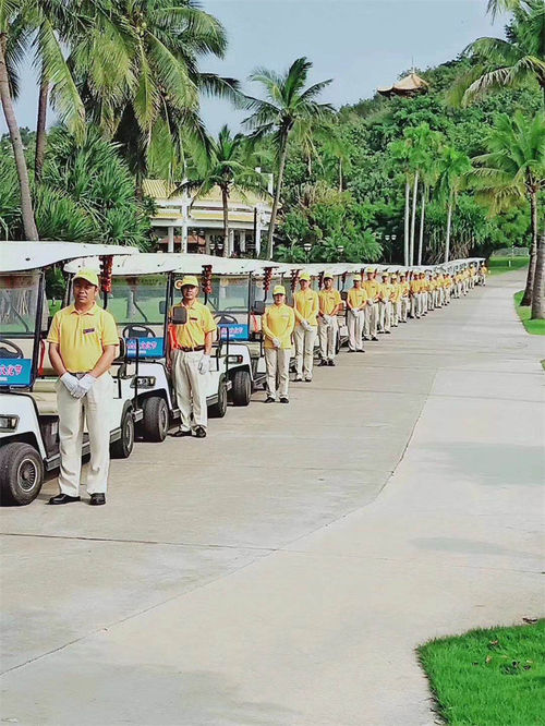 Latest company news about The Versatile 8-14 Seater Sightseeing Vehicles