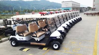Latest company blogs about Scenic Area Deploys Electric Golf Cart Fleet for Eco-Friendly Patrols