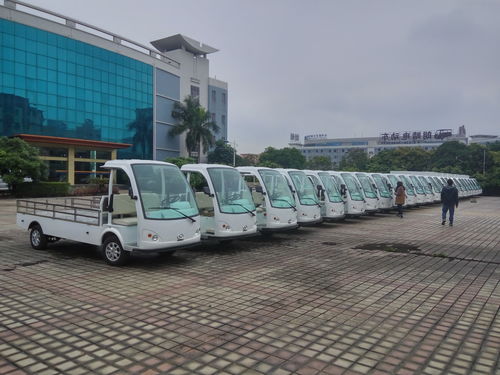 Latest company news about Cuba Embraces Electric Sightseeing Vehicles and Cargo Trucks: Sustainable Mobility Blossoms in Hospitality Sector
