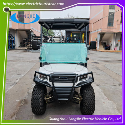 Good price 48V  Motor Electric Utility Golf Cart 2 Person Electric Baggage Cart With Cargo For Hotel online