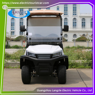 Good price Two Seats Electric Utility Golf Cart 48V AC Hotel Buggy Car With Roof Cargo Box online
