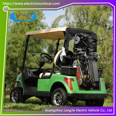 2 Seater AC Motor Electric Buggy Vehicle Electric Golf Cart With Lead-Acid Battery