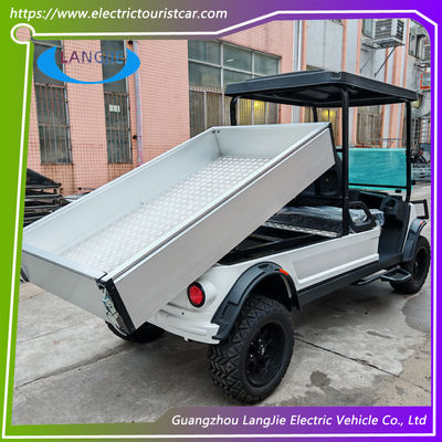 2 Seater 48V Battery Hotel Buggy Car With Cargo for Transport Luggage