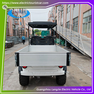 White Color 2 Seeats Electric Luggage Cart buggy  With AC Motor For Park