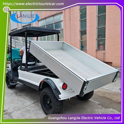 48V AC Motor Electric 2 Seater Golf Buggy Battery Operated CE Cetification for Park